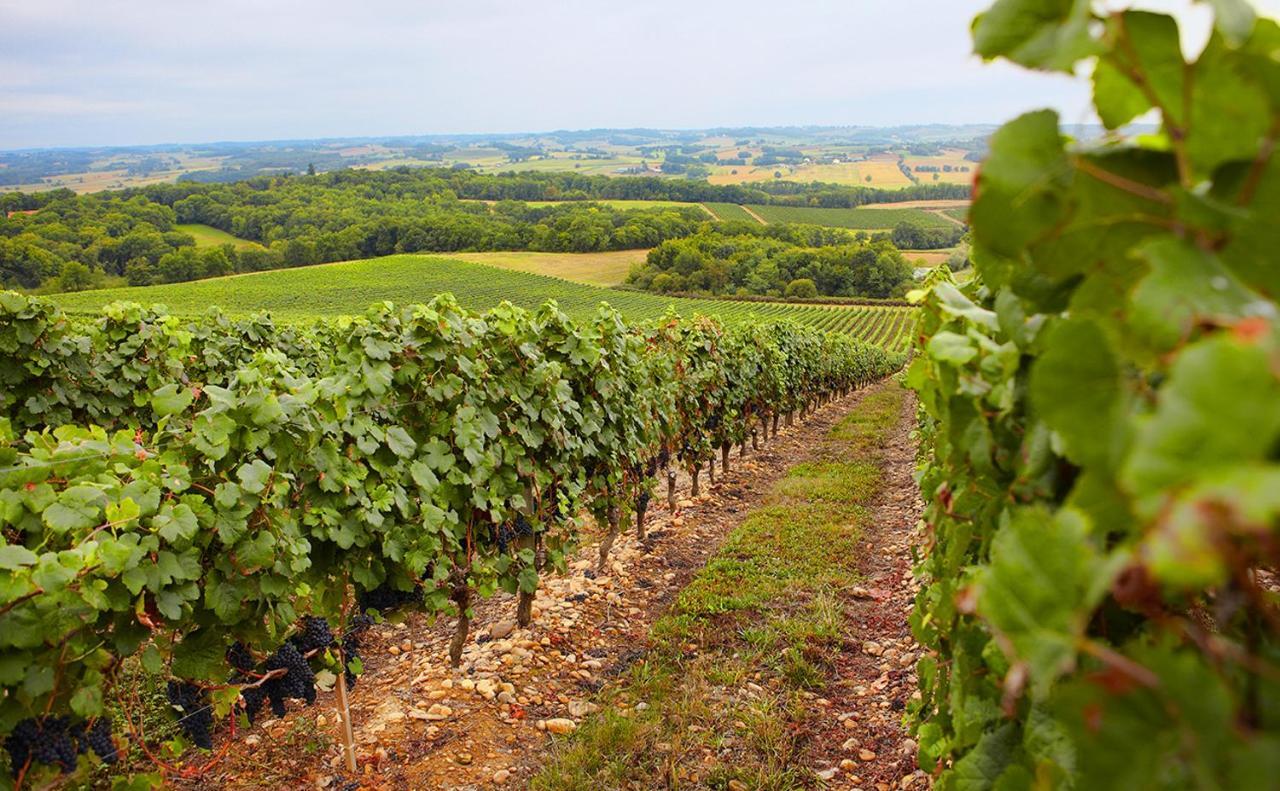 Gite, Jacuzzi & Vin Au Grenier De Madiran Εξωτερικό φωτογραφία